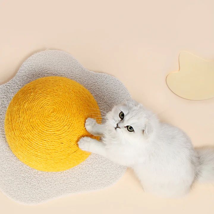 Playful cat toys for everyday activity