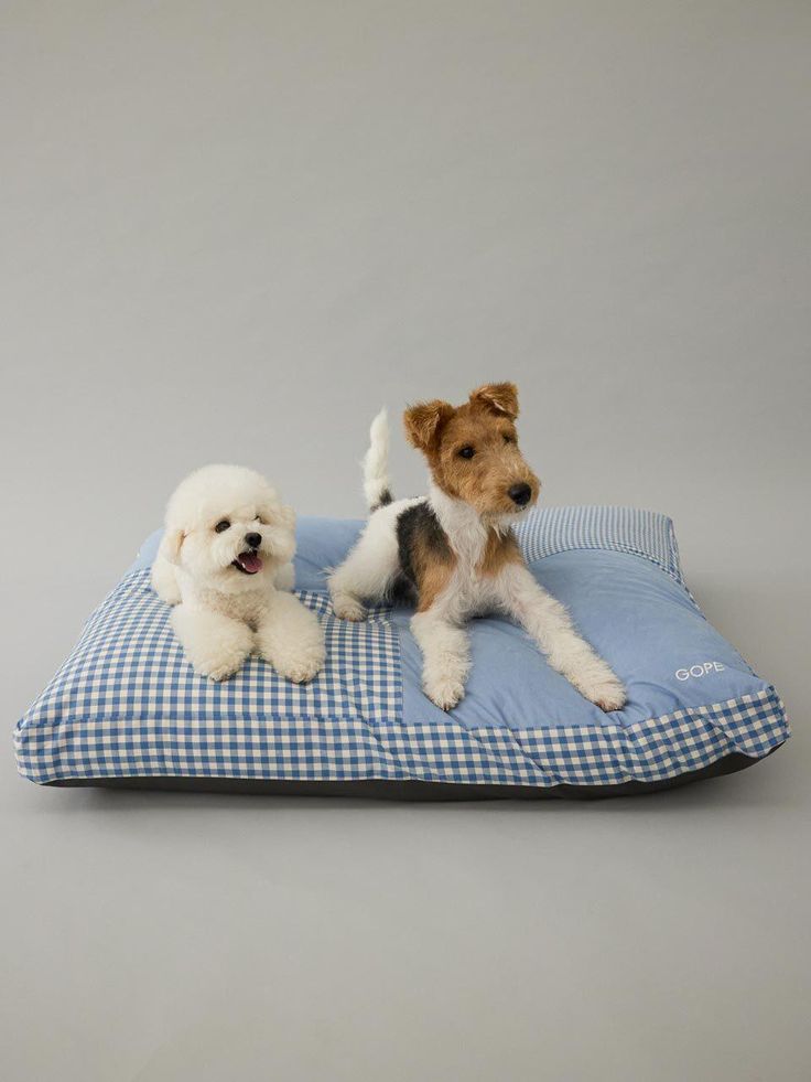 Comfortable dog beds designed for everyday rest