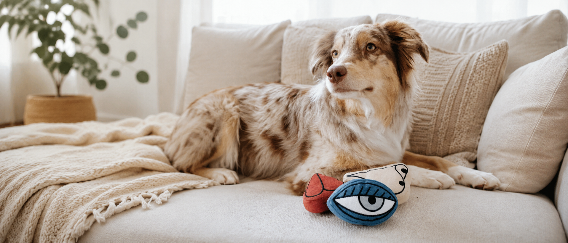 Playful cat toys designed for everyday activity