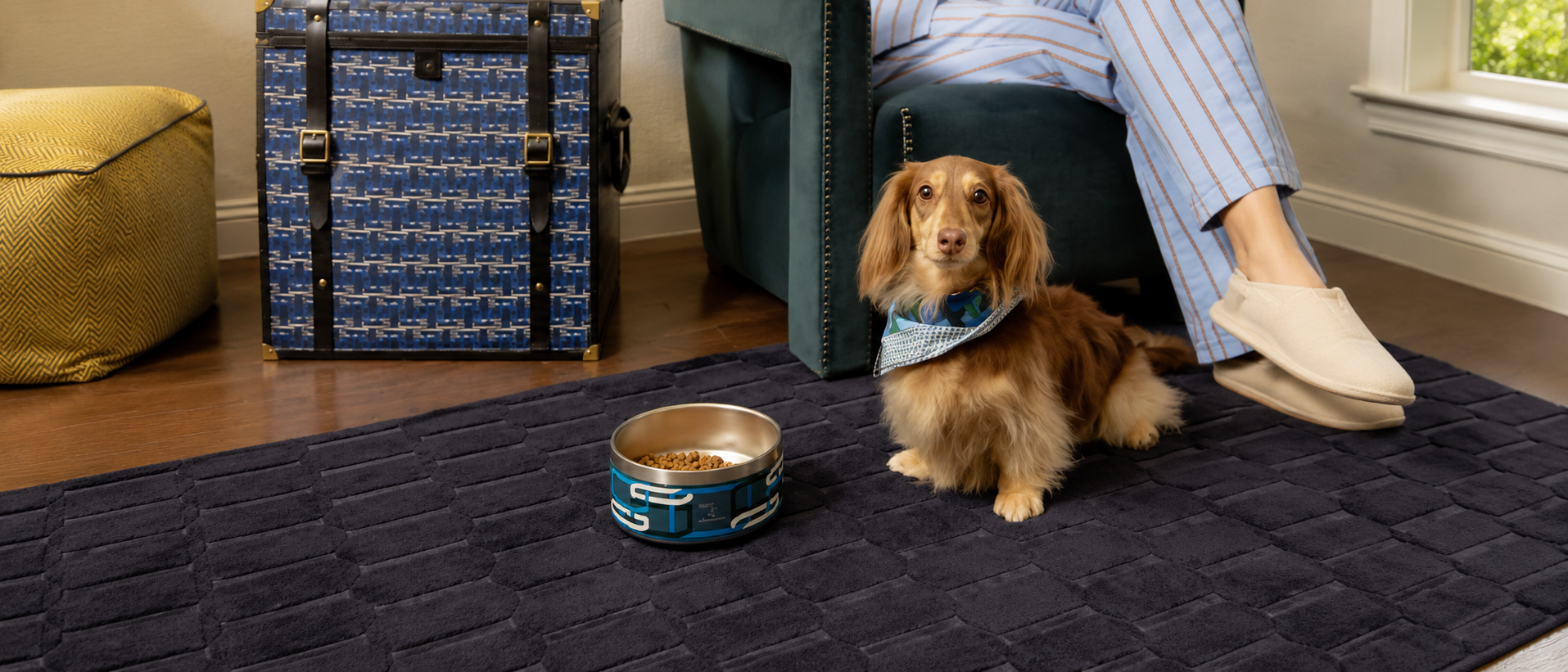 Comfortable everyday pet essentials for home and travel